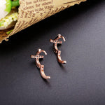 Load image into Gallery viewer, Earrings Cross Colored silver 925 zircon

