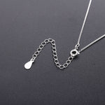 Load image into Gallery viewer, Necklace Polar silver 925 zircon
