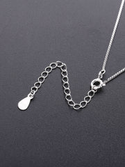 Load image into Gallery viewer, Necklace Polar silver 925 zircon