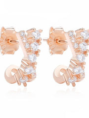 Load image into Gallery viewer, Earrings Make your style 2 silver 925 ircon