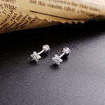 Load image into Gallery viewer, Earrings Shiny Stars silver 925 zircon
