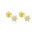 Load image into Gallery viewer, Earrings Shiny Stars silver 925 zircon
