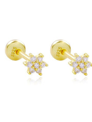 Load image into Gallery viewer, Earrings Shiny Stars silver 925 zircon